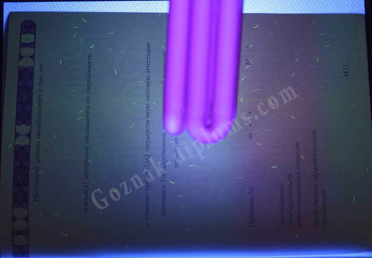 Диплом специалиста 2014-2026